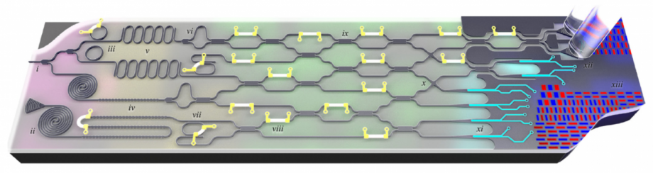 Mock-up of a quantum photonic device, which could form part of a neuromorphic computing system. From Silverstone et al., IEEE J. Sel. Top. Quantum Electron. 22, 6 (2016). Licensed under a Creative Commons Attribution 3.0 License.