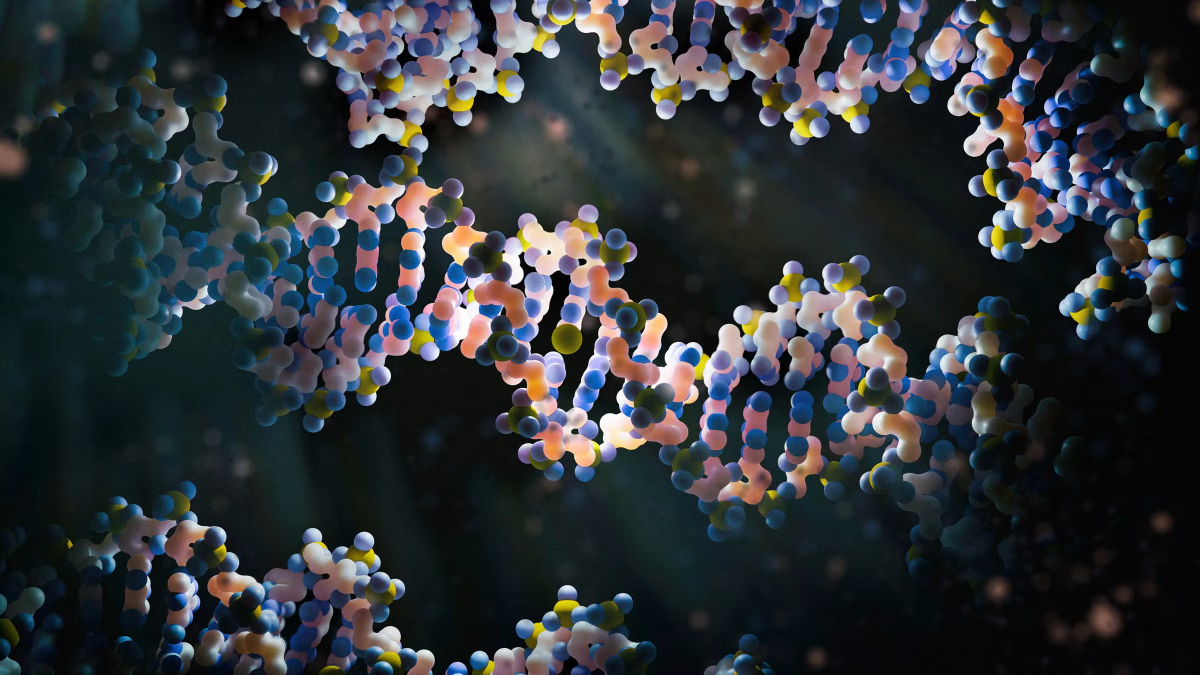 Illustration of several strands of DNA showing their double helix shape