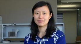 Professor Lili Qiu