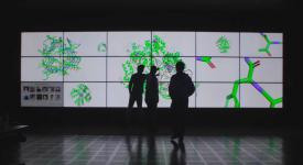 Researchers study the three dimensional structures of molecules on a wall-sized video display at the TACC Visualization Lab. Three people stand silhouetted in front of a wall-sized video display that shows several large colorful illustrations of molecules
