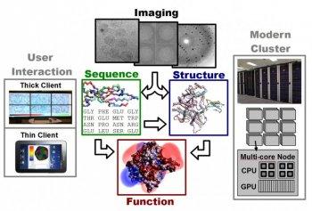 Sequence Structure Function