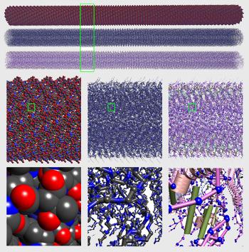  2OM3) visualized at several scales from a full length rod-like virus (top, tens of millions of atoms) to the atomic level details (bottom).