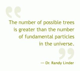 The number of possible trees is greater than the number of fundamental particles in the unverse. —Dr. Randy Linder