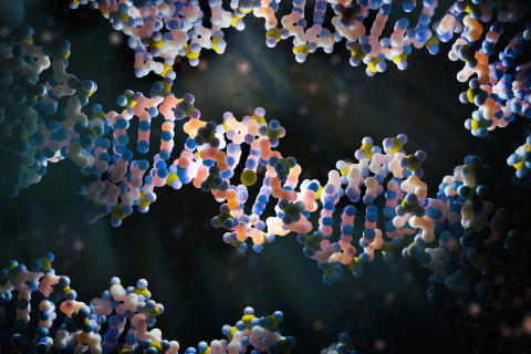 Illustration of several strands of DNA showing their double helix shape