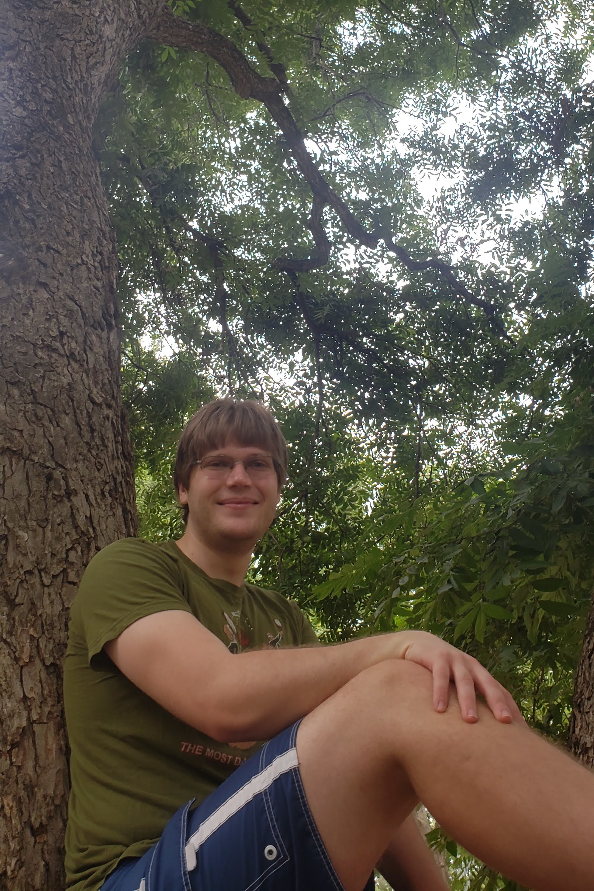 Picture of me in a tree.